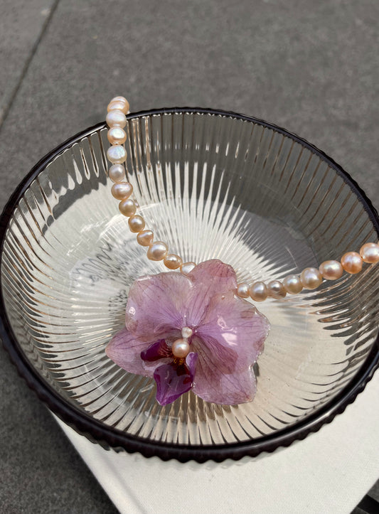 Collar Phalaenopsis No. 01