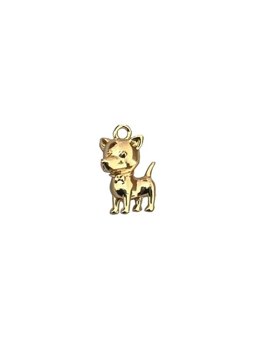 Charm Perro Chihuahua