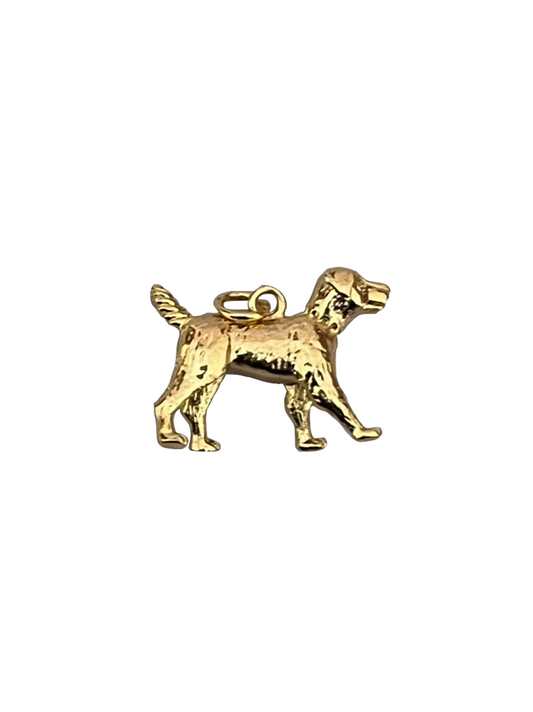 Charm Perro
